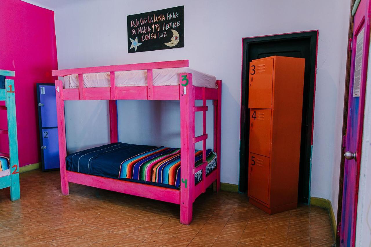 سان لويس بوتوسي Hostal Chesal المظهر الخارجي الصورة