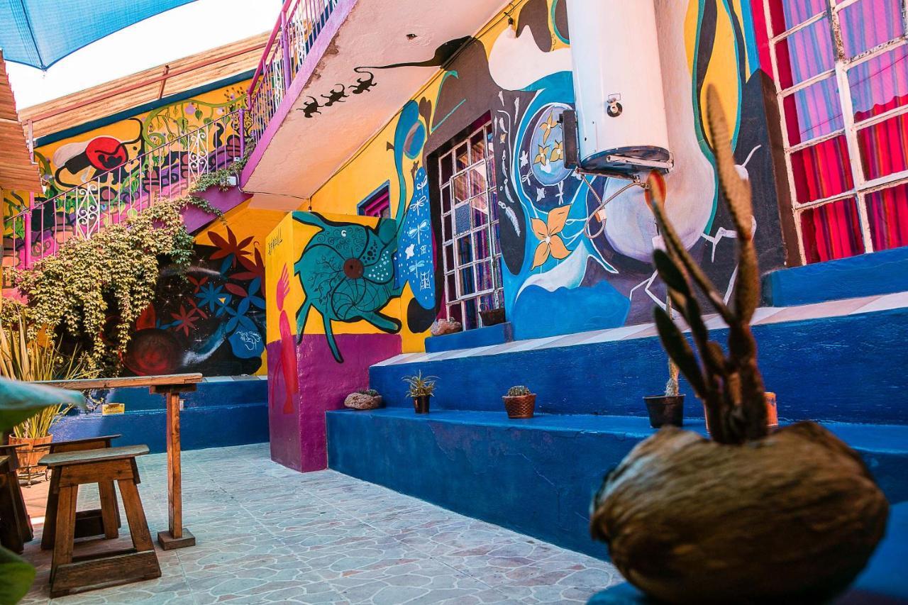 سان لويس بوتوسي Hostal Chesal المظهر الخارجي الصورة