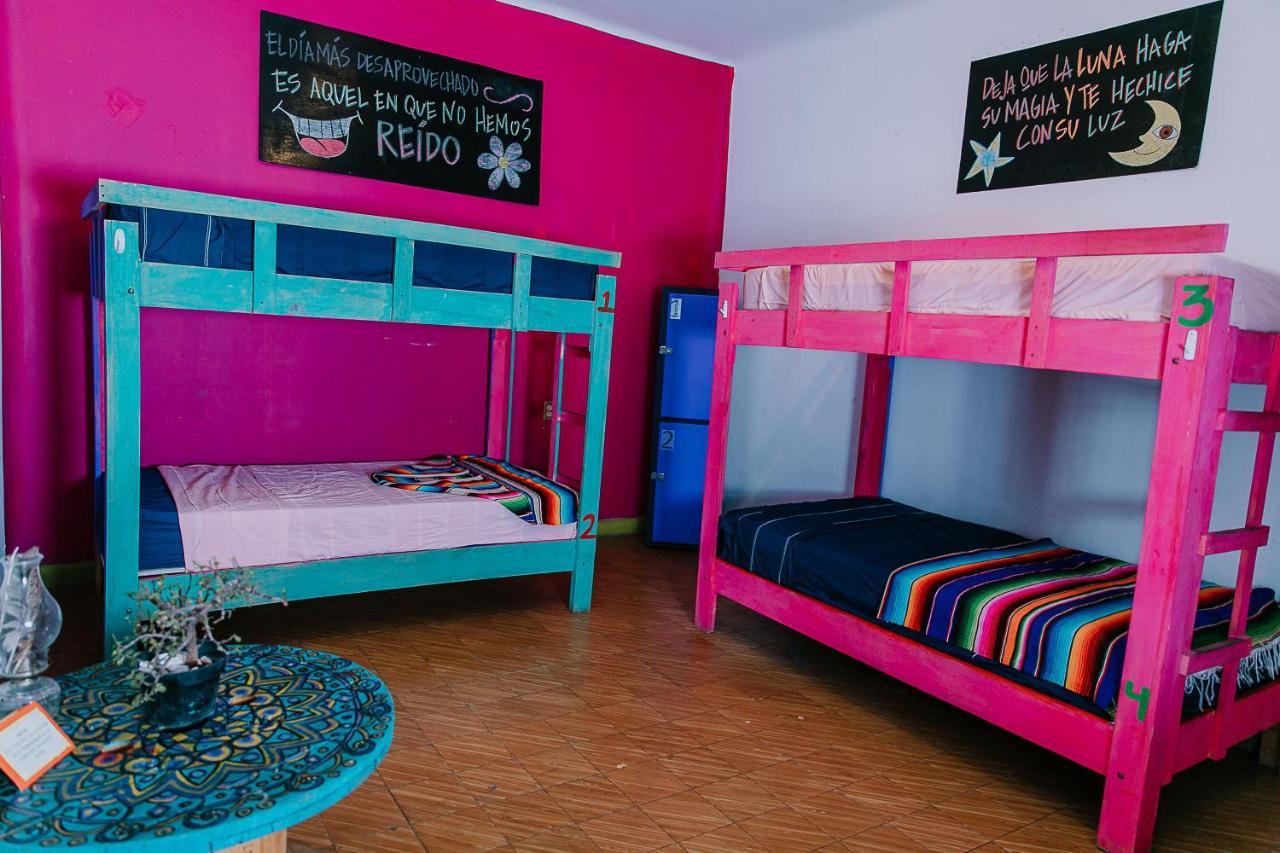 سان لويس بوتوسي Hostal Chesal المظهر الخارجي الصورة