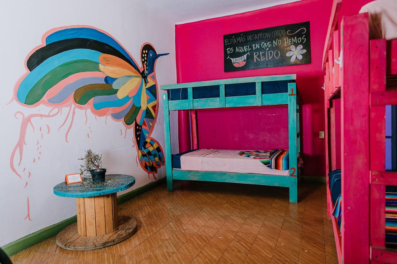 سان لويس بوتوسي Hostal Chesal المظهر الخارجي الصورة