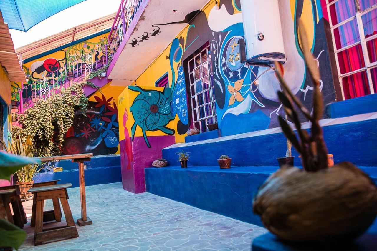 سان لويس بوتوسي Hostal Chesal المظهر الخارجي الصورة