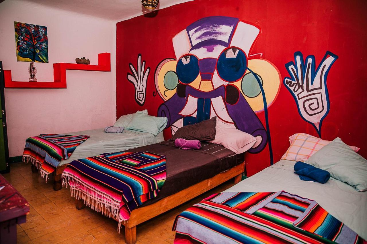 سان لويس بوتوسي Hostal Chesal المظهر الخارجي الصورة