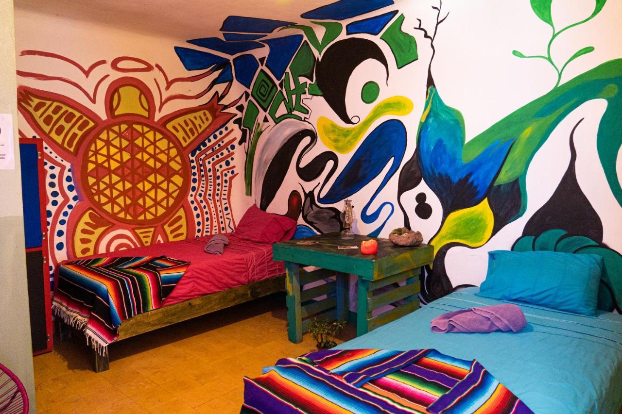 سان لويس بوتوسي Hostal Chesal المظهر الخارجي الصورة