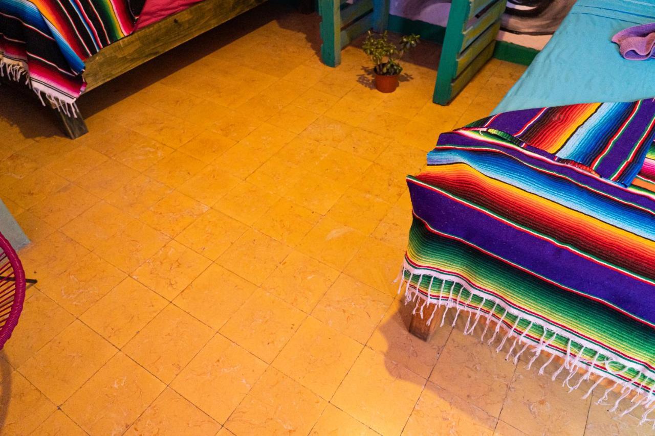 سان لويس بوتوسي Hostal Chesal المظهر الخارجي الصورة