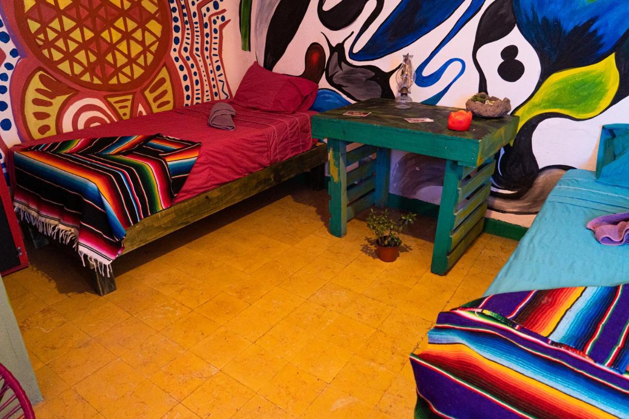 سان لويس بوتوسي Hostal Chesal المظهر الخارجي الصورة