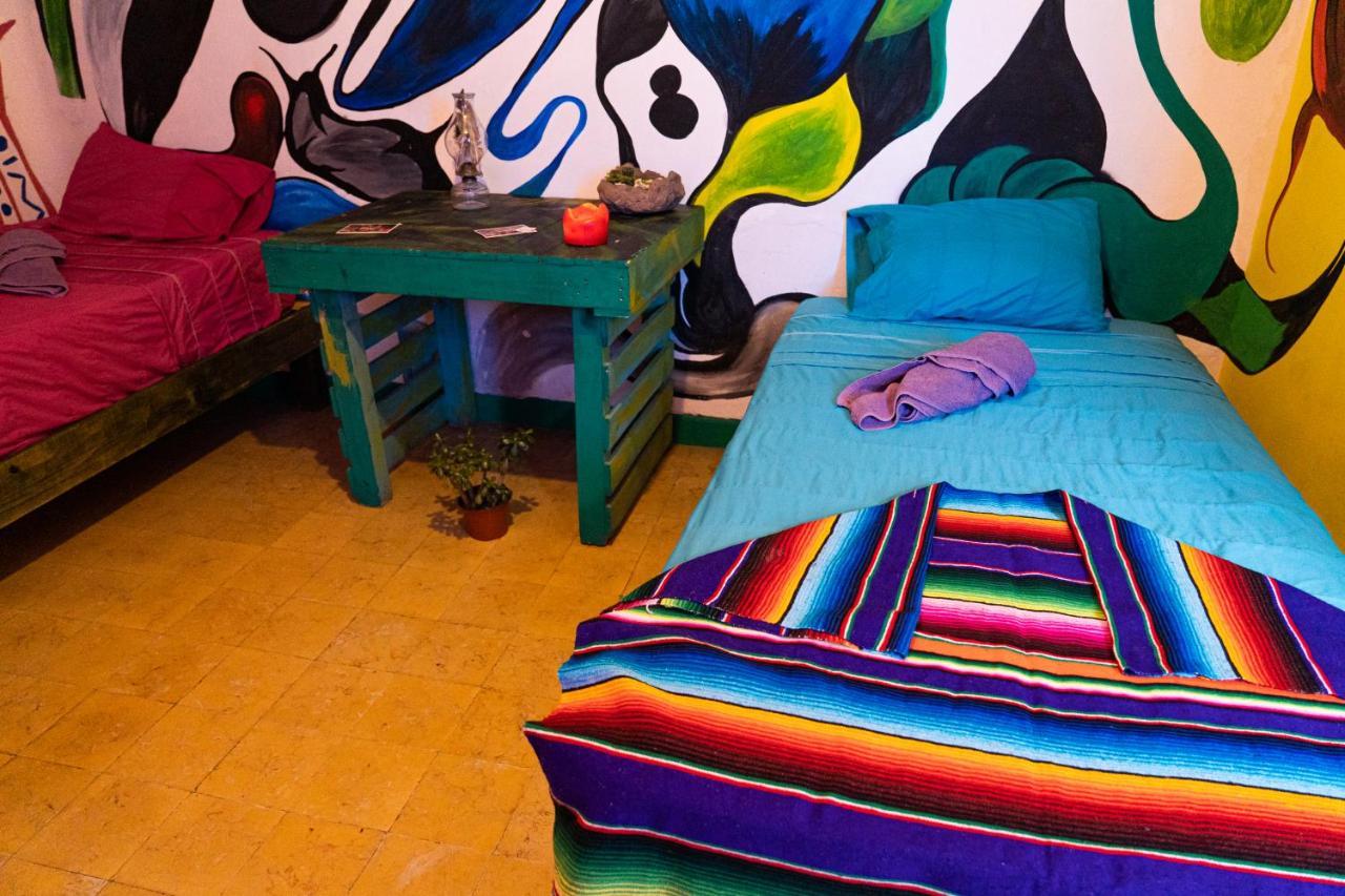 سان لويس بوتوسي Hostal Chesal المظهر الخارجي الصورة