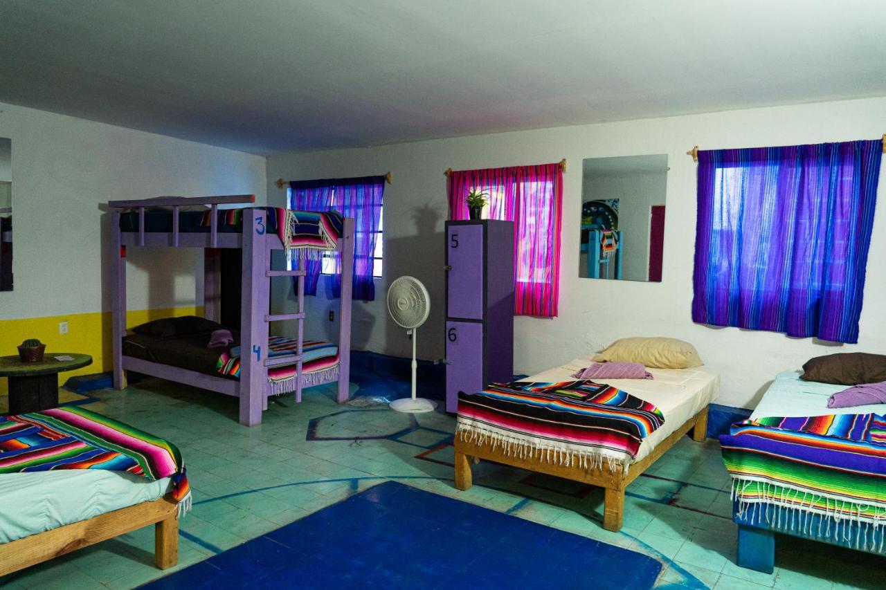 سان لويس بوتوسي Hostal Chesal المظهر الخارجي الصورة