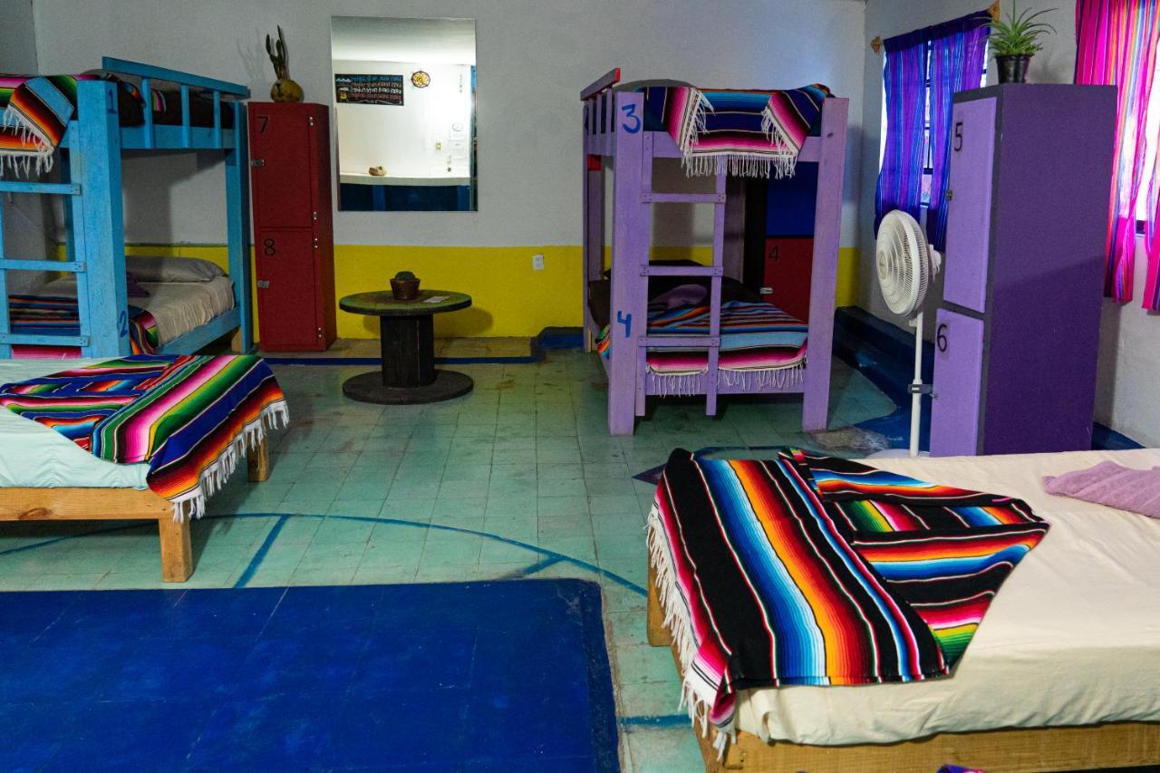 سان لويس بوتوسي Hostal Chesal المظهر الخارجي الصورة