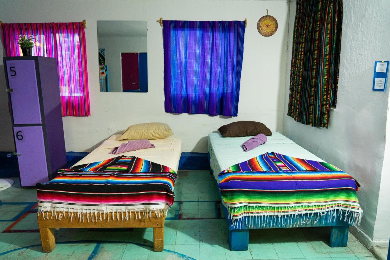 سان لويس بوتوسي Hostal Chesal المظهر الخارجي الصورة