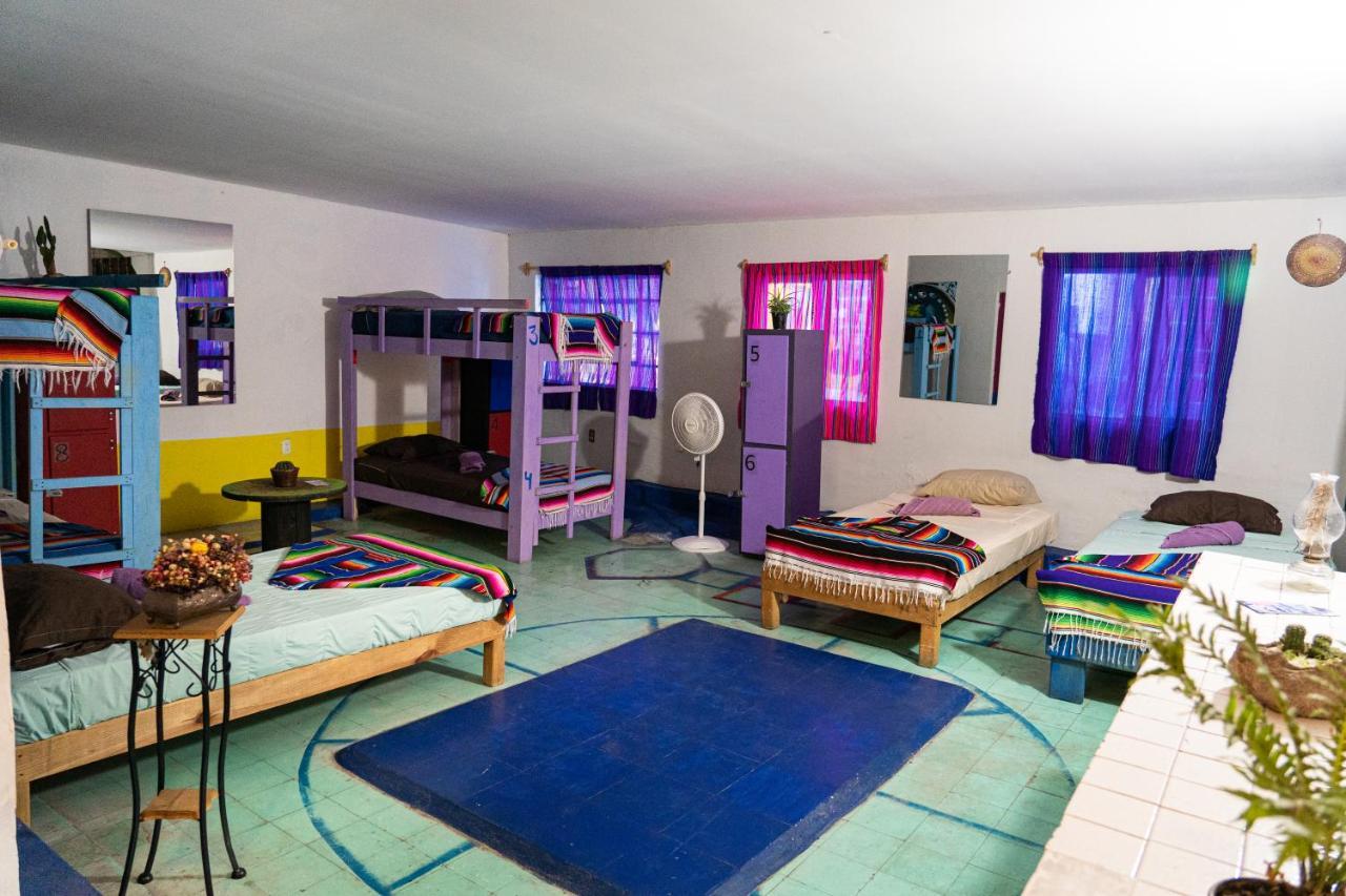 سان لويس بوتوسي Hostal Chesal المظهر الخارجي الصورة