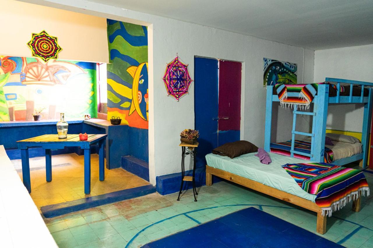 سان لويس بوتوسي Hostal Chesal المظهر الخارجي الصورة