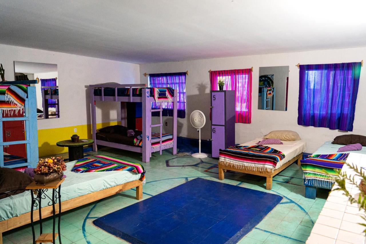 سان لويس بوتوسي Hostal Chesal المظهر الخارجي الصورة