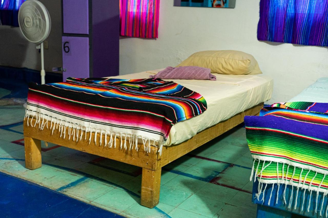 سان لويس بوتوسي Hostal Chesal المظهر الخارجي الصورة
