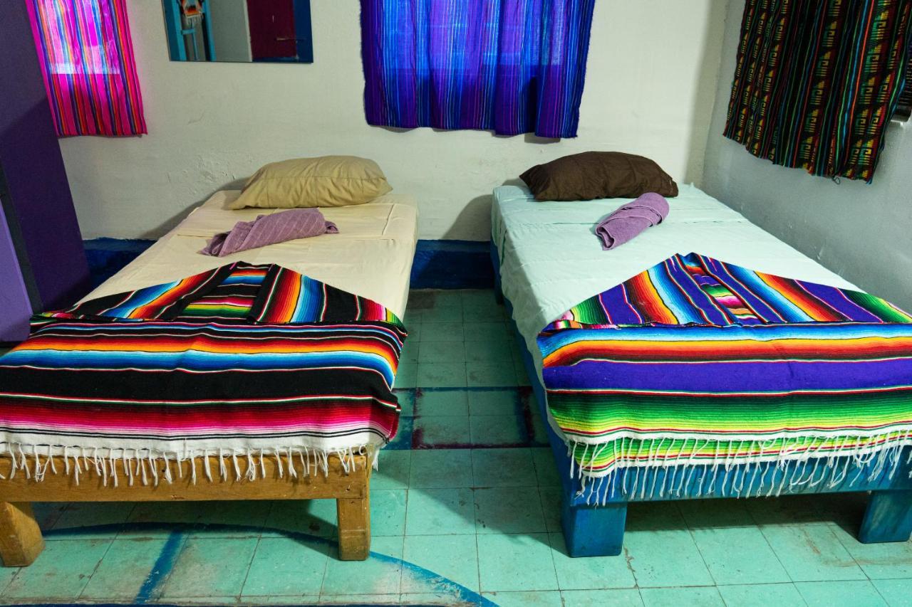 سان لويس بوتوسي Hostal Chesal المظهر الخارجي الصورة